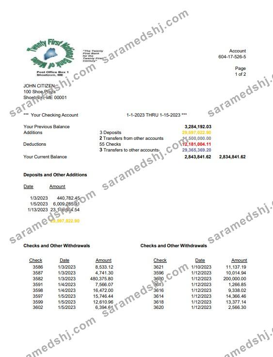 USA Twenty First National Bank of Maine bank statement Word and PDF template, 2 pages